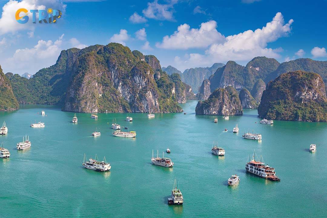 Hosting corporate events on Ha Long Bay’s luxury cruises combines business with stunning views, networking lounges, and team-building activities