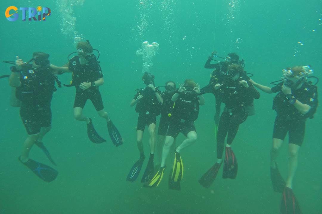 If you want a convenient and quick dive, you should consider booking a scuba diving tour