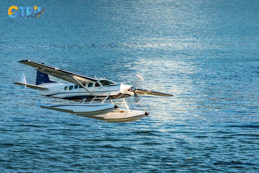 If you want a panoramic view of the outside of the cave, a seaplane is an ideal choice