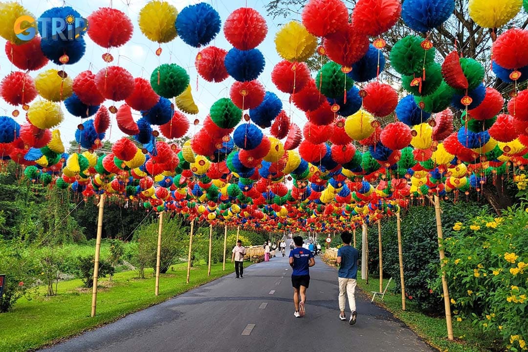 If you want your free time peaceful and relaxing, come to Go Vap Cultural Park