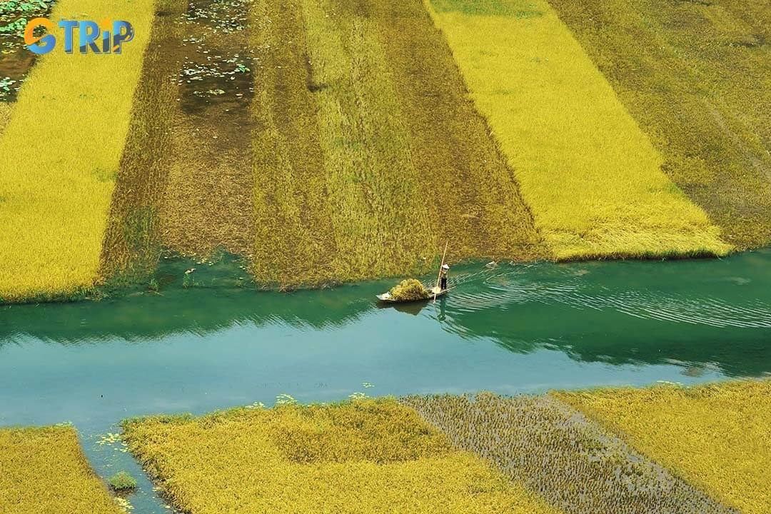 January in Ninh Binh is cool, dry, and pleasant, making it ideal for outdoor activities