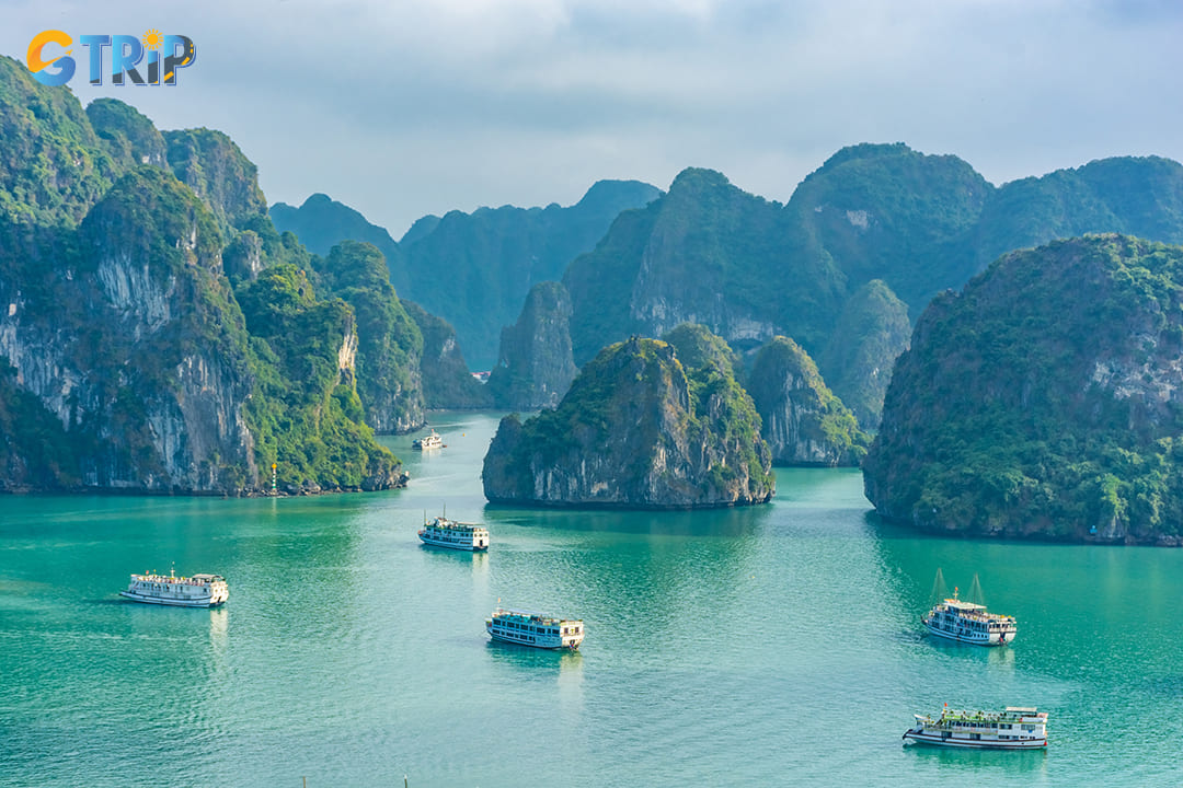 January is an excellent time to visit Ha Long Bay, especially if you prefer cooler weather