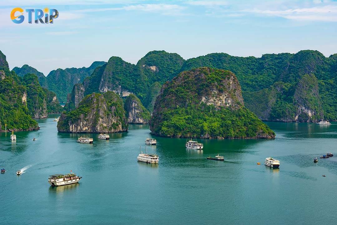 June in Ha Long Bay brings warm temperatures of 27°C to 31°C, with balmy evenings perfect for night cruises and outdoor dining