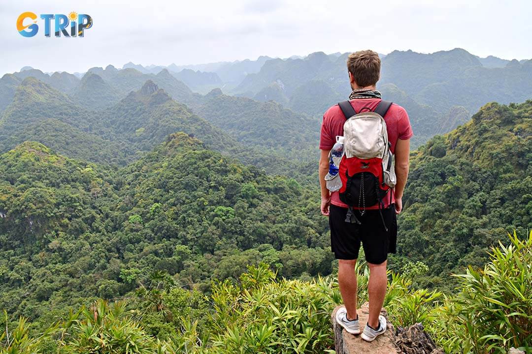 June is perfect for hiking, with lush greenery and mild weather enhancing the experience. Cat Ba National Park offers rich biodiversity