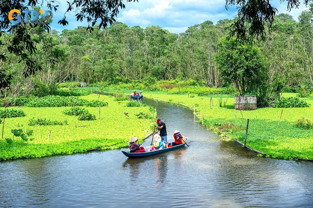 June’s rain turns the rice paddies into a beautiful green landscape