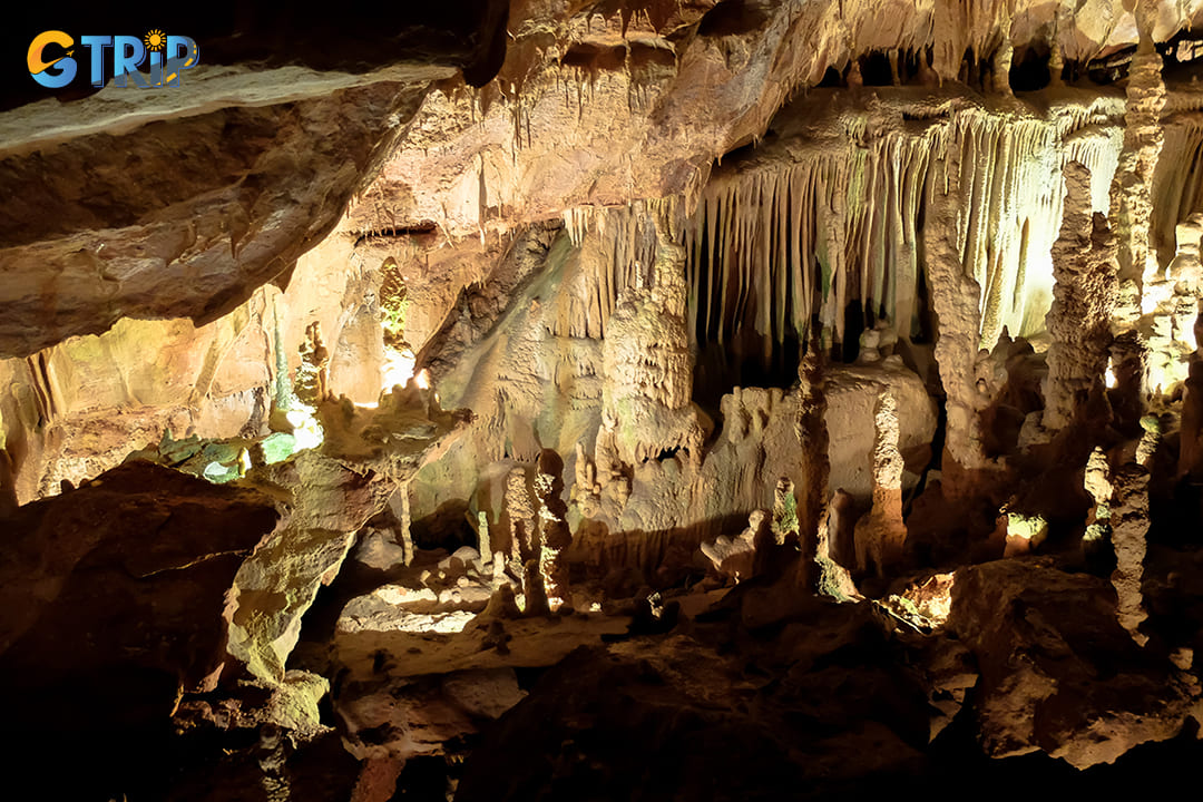 Kim Quy Cave with walls adorned with golden-hued stalactites and stalagmites that sparkle under the light