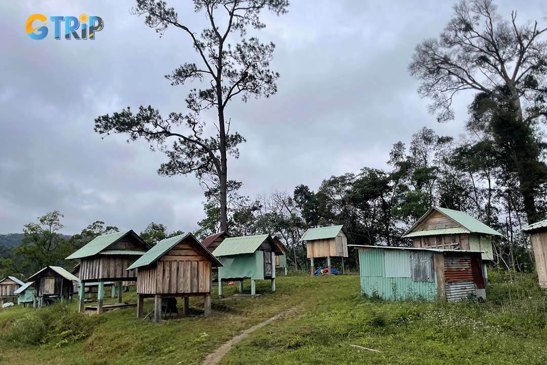 Kon Tu Ma Village offers an immersive experience in Ba Na culture, with traditional stilt houses, festivals, and scenic views of forests and the Dak Bla River