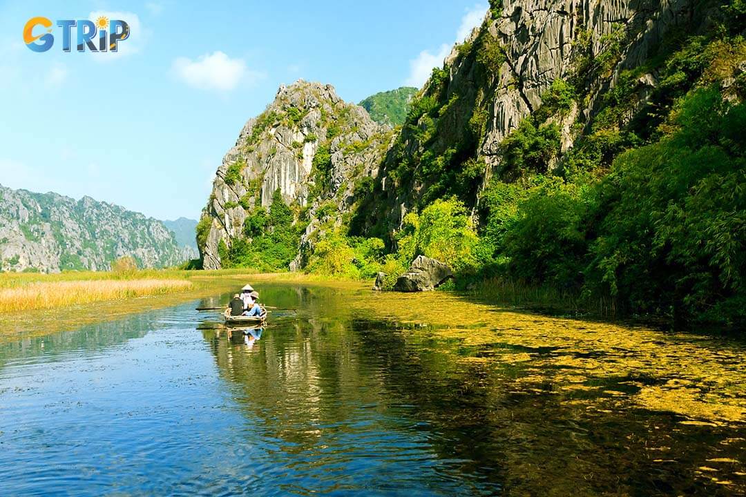 The Van Long Wetland Reserve offers tranquil boat rides, surrounded by lush greenery and limestone cliffs