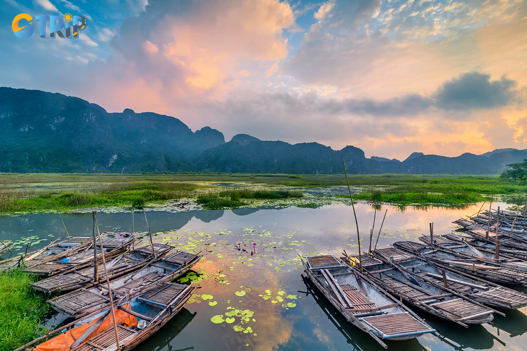 Landscape with boat in Van Long Natural Reserve