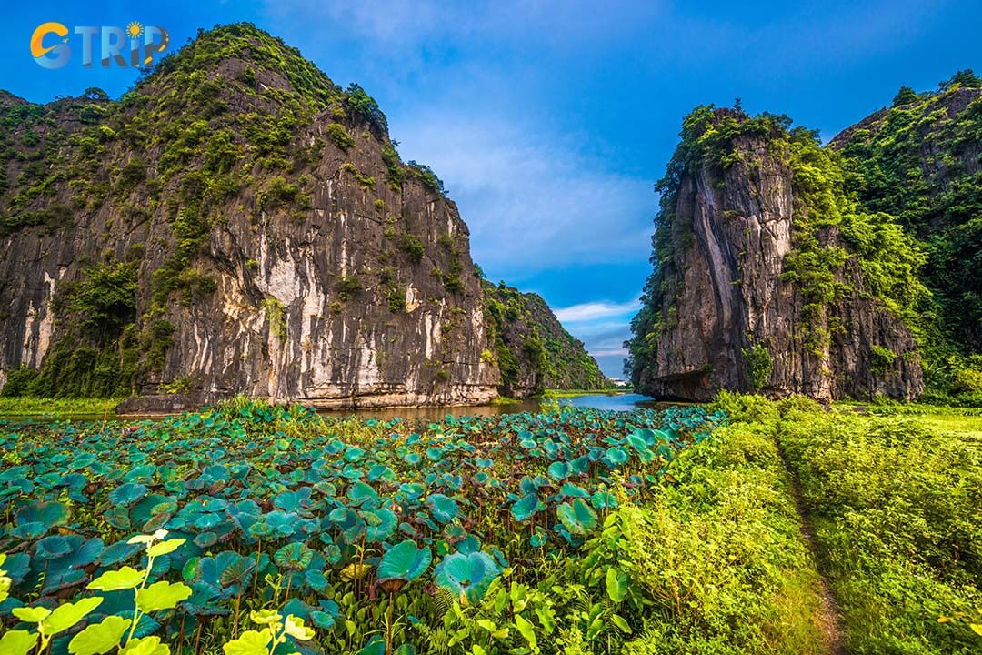 Ninh Binh's landscapes showcase a harmonious blend of towering limestone karsts, lush greenery, and tranquil waterways, offering a paradise for nature lovers