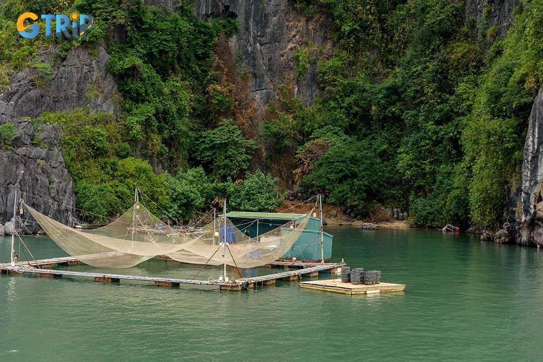 Late spring, early summer, and autumn are the best times to visit Bai Tu Long Bay