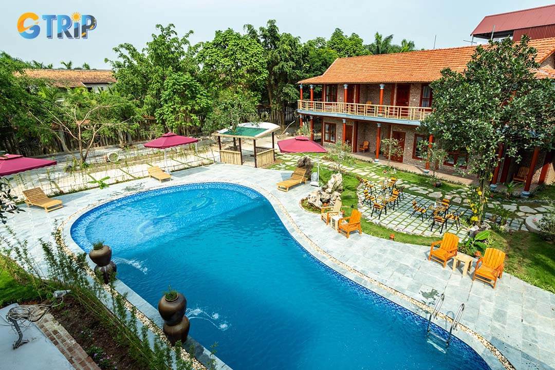 Lavender Homestay in Ninh Binh offers comfortable accommodations and easy access to attractions, ideal for families and solo travelers