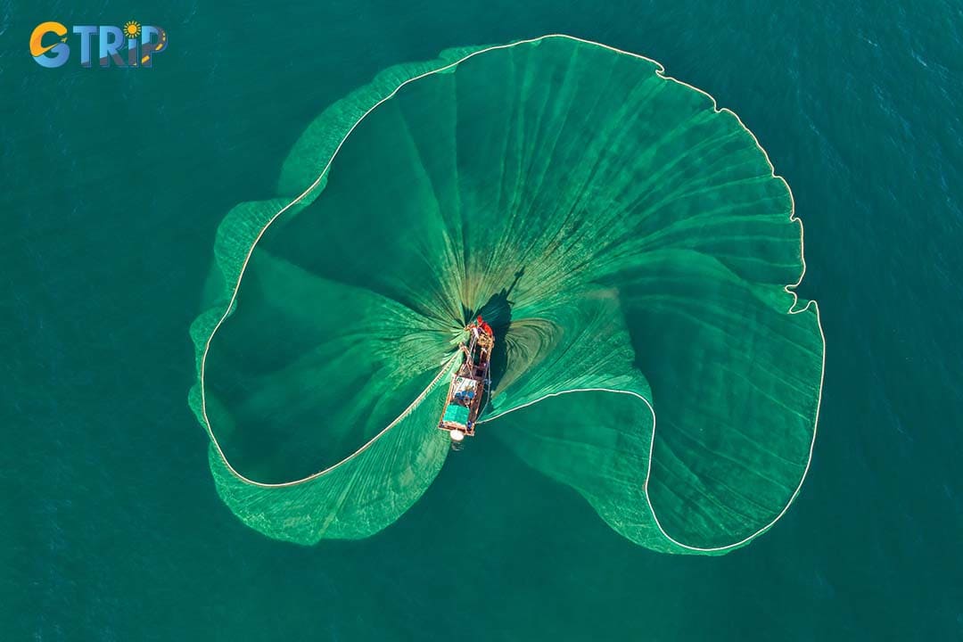 Learn traditional fishing techniques from locals in Cua Van, trying net casting and bamboo traps while gaining insight into the village’s sustainable maritime heritage