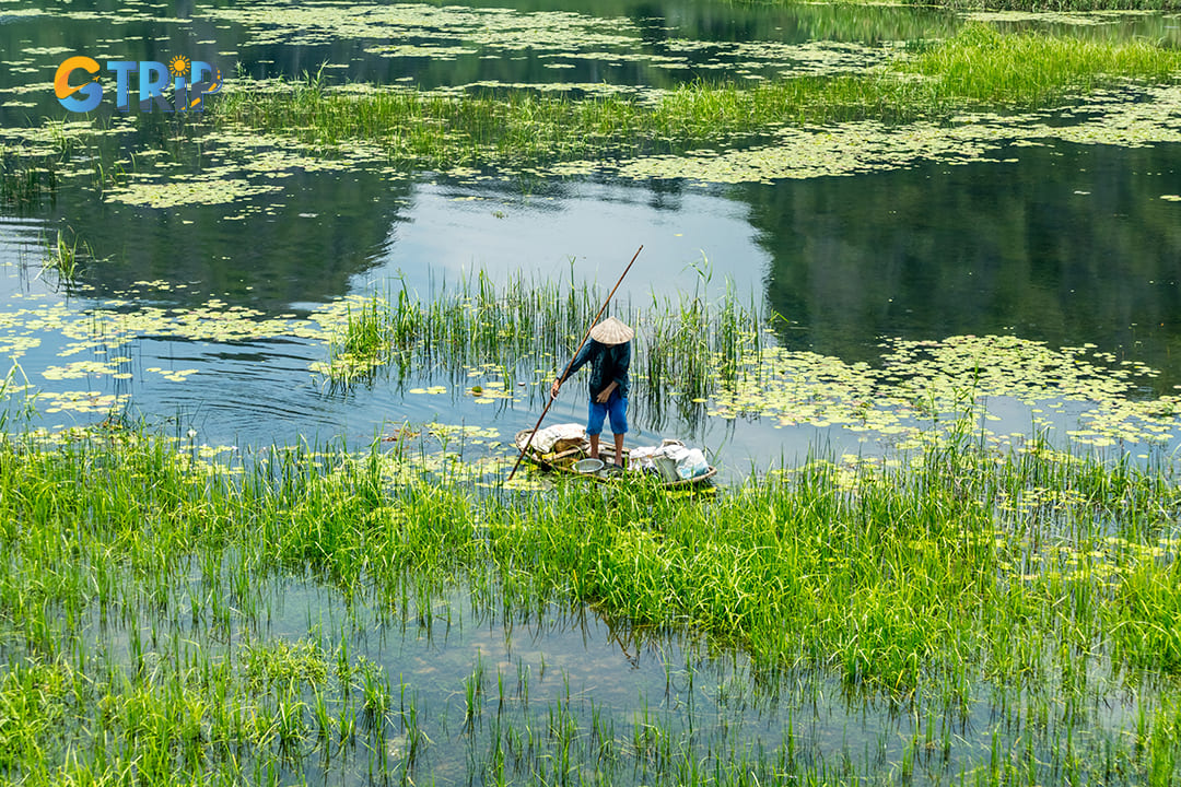 Conservation efforts can ensure the preservation of Van Long’s unique environment