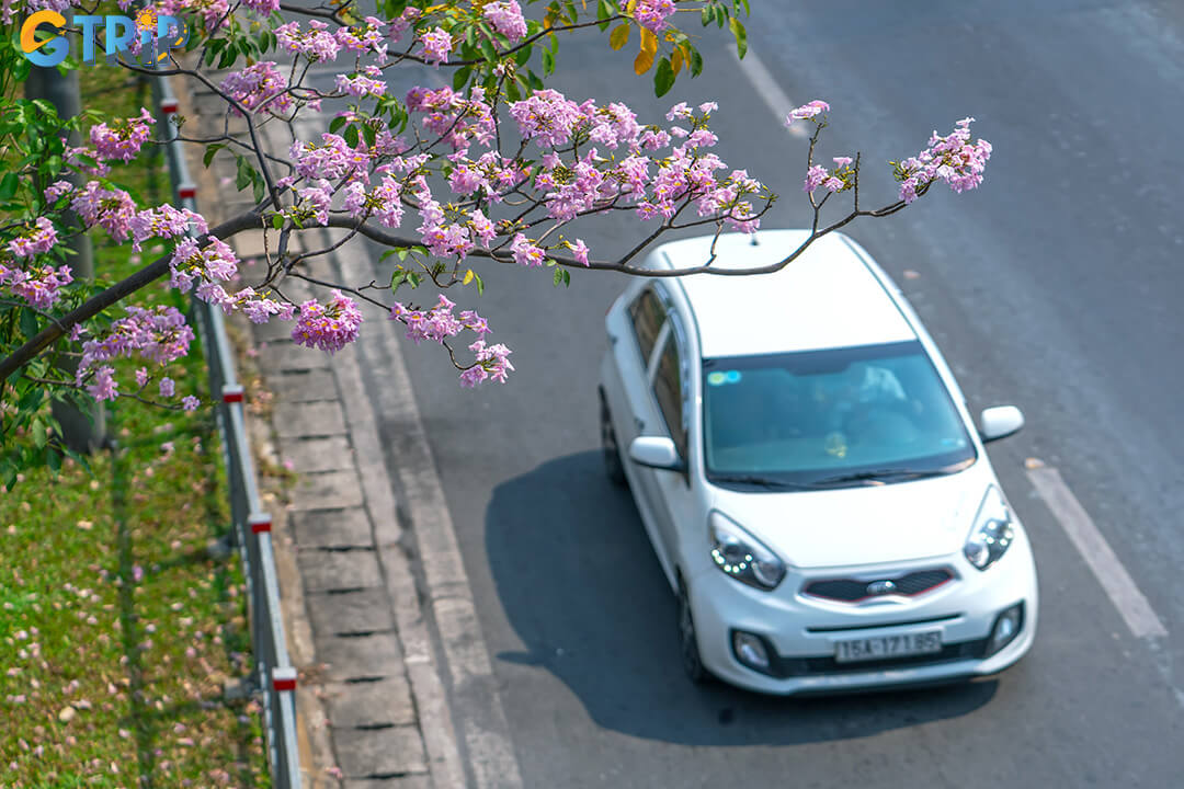 Located about 20 km from central Ho Chi Minh City, Buu Long Pagoda is easily reachable by car, motorbike, taxi, or bus