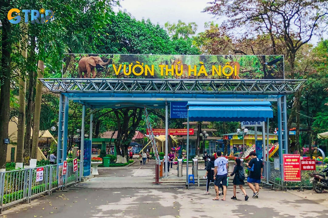 Located in the central Ba Dinh District, the zoo is easily accessible from all parts of the city