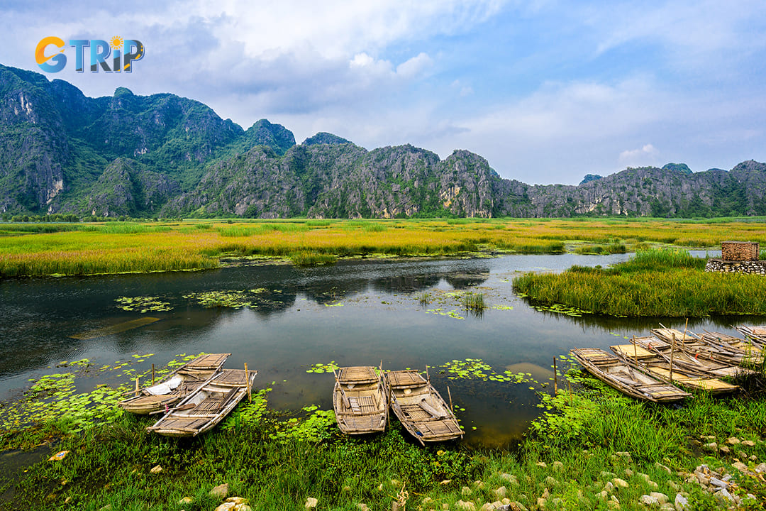 General information about Van Long wetlands will be answered in detail in the sections below