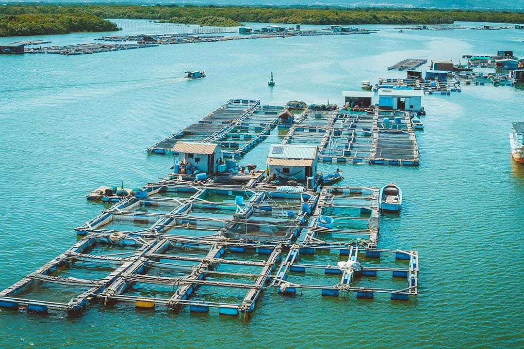 Long Son Island: Travel Guide, Things to Do & How to Get There