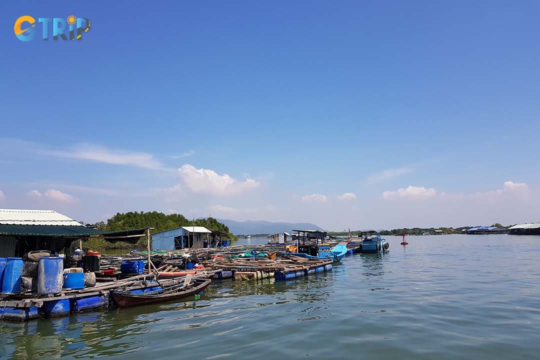 Long Son Island isn’t a swimming spot but a cultural and culinary hub known for its oyster farming villages