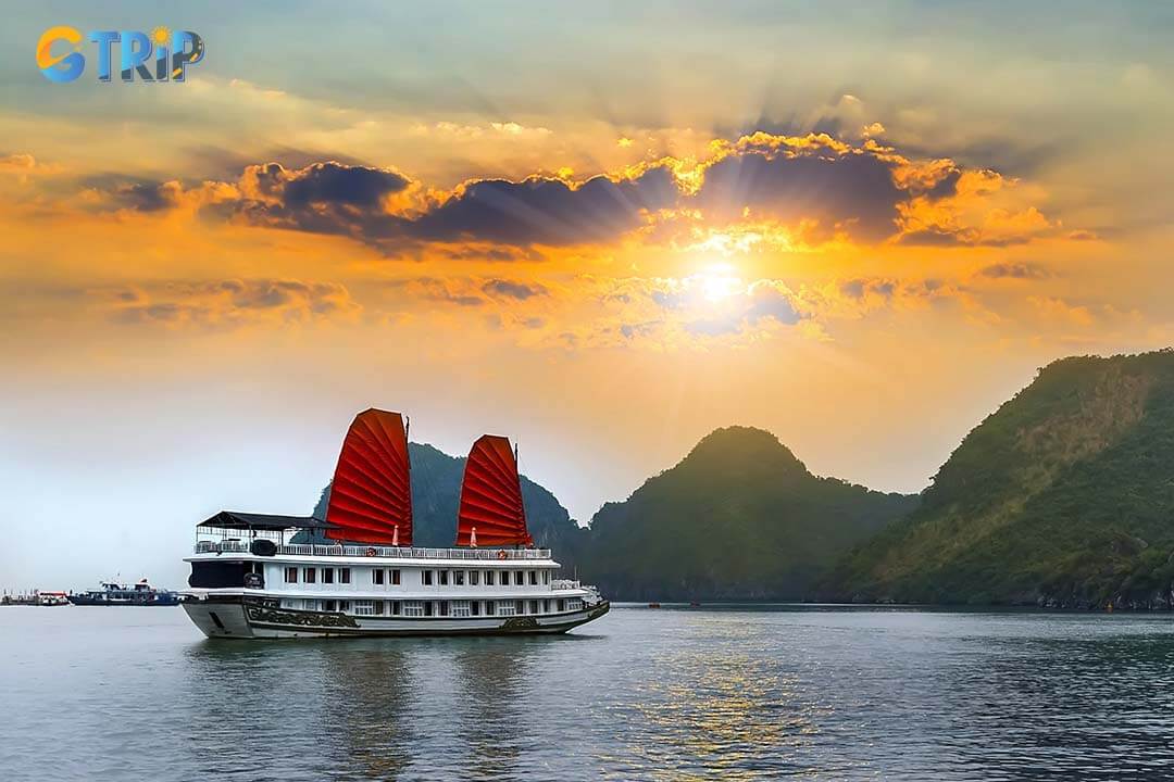 Luxury cruise junks sails tourism landscape in Ha Long Bay