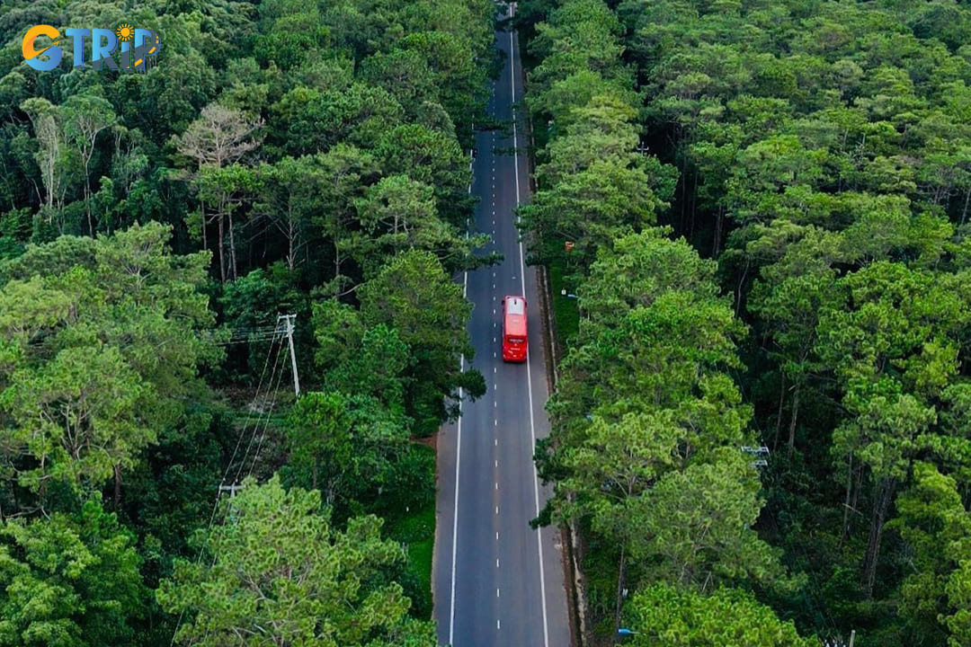 Mang Den Pine Forest is a vast area of ​​towering pine trees that cover the landscape around Dak Ke Lake