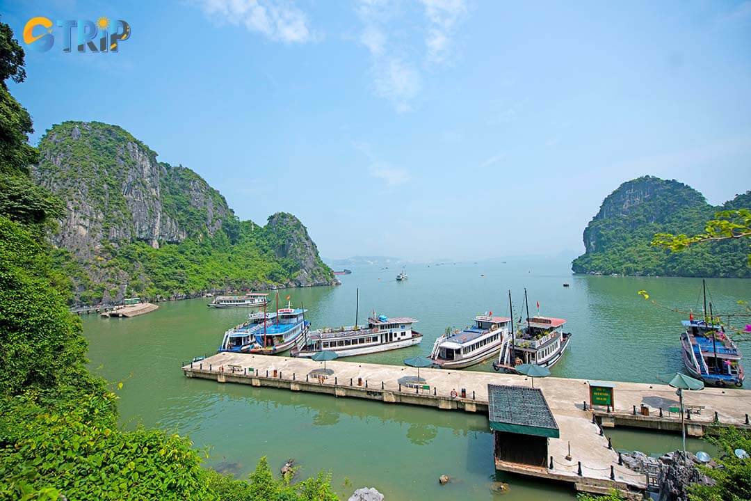 Many people choose local boats as a means of getting to the cave because they are flexible