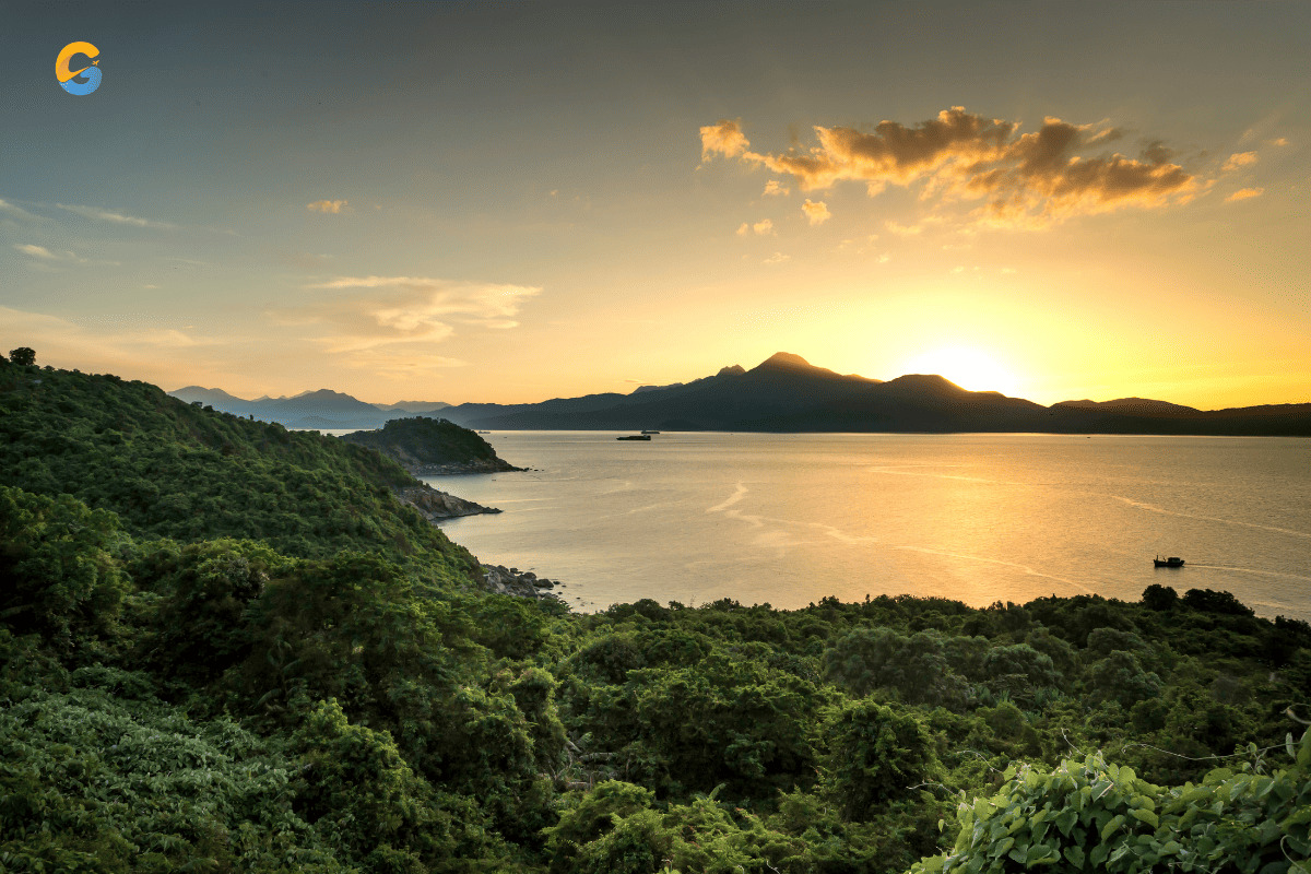 Marble Mountains & Son Tra Peninsula Tour