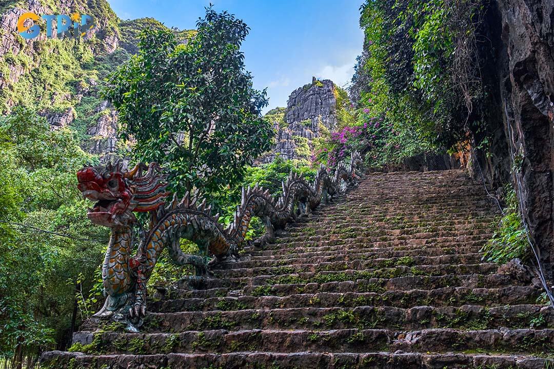 May is the beginning of summer in Ninh Binh. Hiking to the top of Mua Cave is an interesting experience