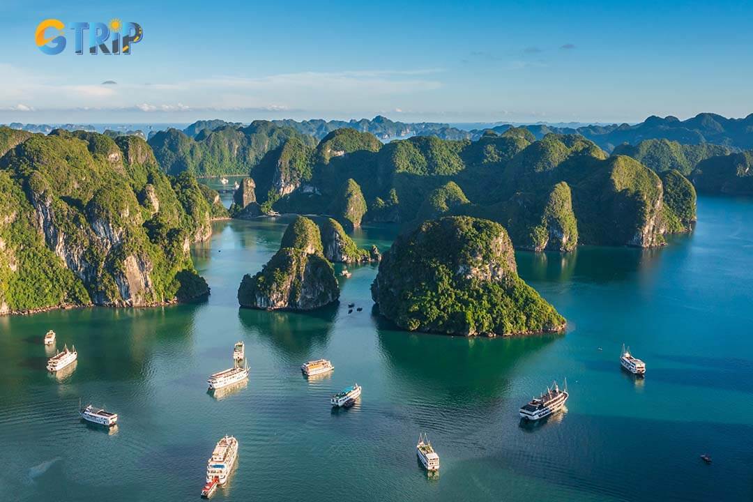 MICE tourism drives corporate growth by enhancing productivity, networking, and employee engagement, with Vietnam emerging as a top destination