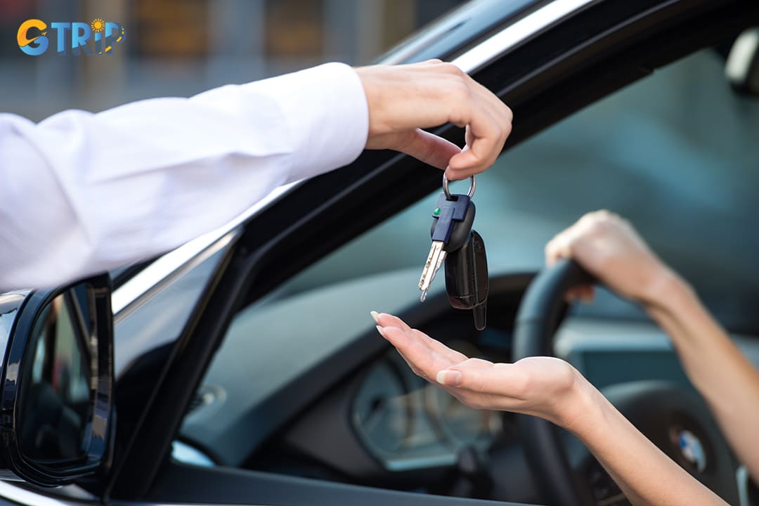 Minh Viet distinguishes itself with a diverse fleet that includes economy cars, luxury sedans, and spacious vans
