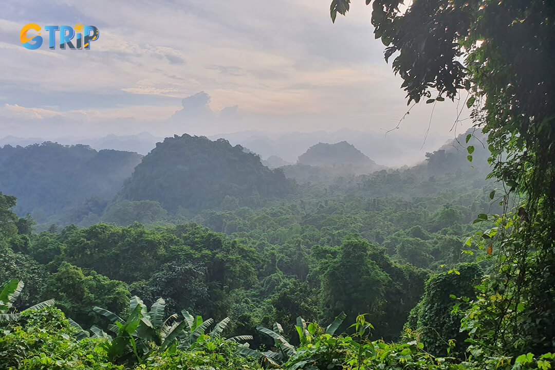 Limestone mountains in Cuc Phuong National Park