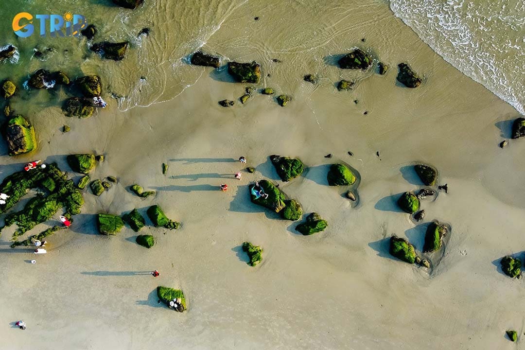 Nam O Beach is defined by its raw, unspoiled beauty, famous moss-covered black rocks, authentic fishing village life, and deep ties to Cham heritage