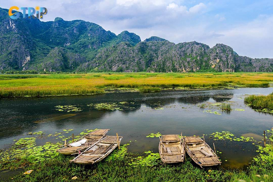 Natural reserve of Van Long Wetlands