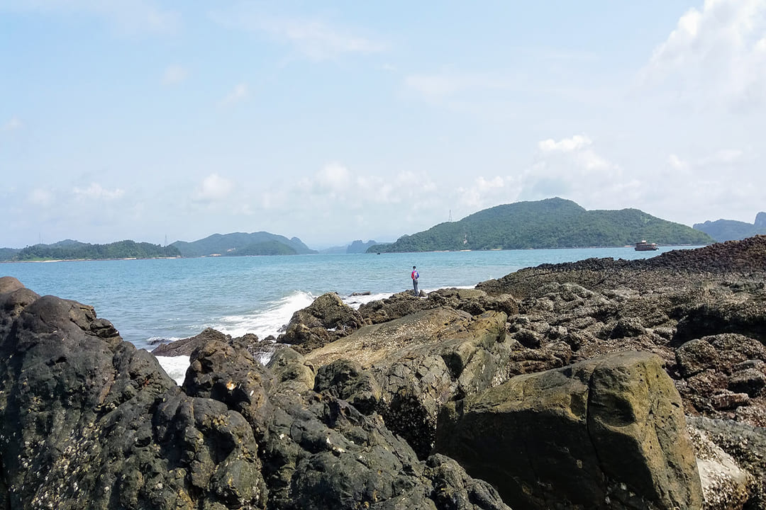 Ngoc Vung Island: Overview, Best Time, How To Get To, Things To Do & Travel Guide