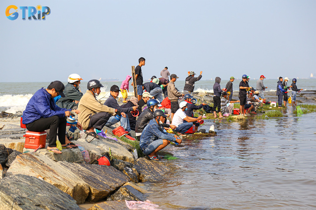 Nguyen Tat Thanh Beach offers casual, community-style shore fishing along a long, scenic coastline overlooking Da Nang Bay