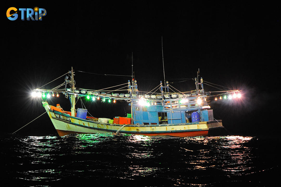 Night squid fishing allows tourists to engage in a traditional pastime that has sustained local fishermen for generations