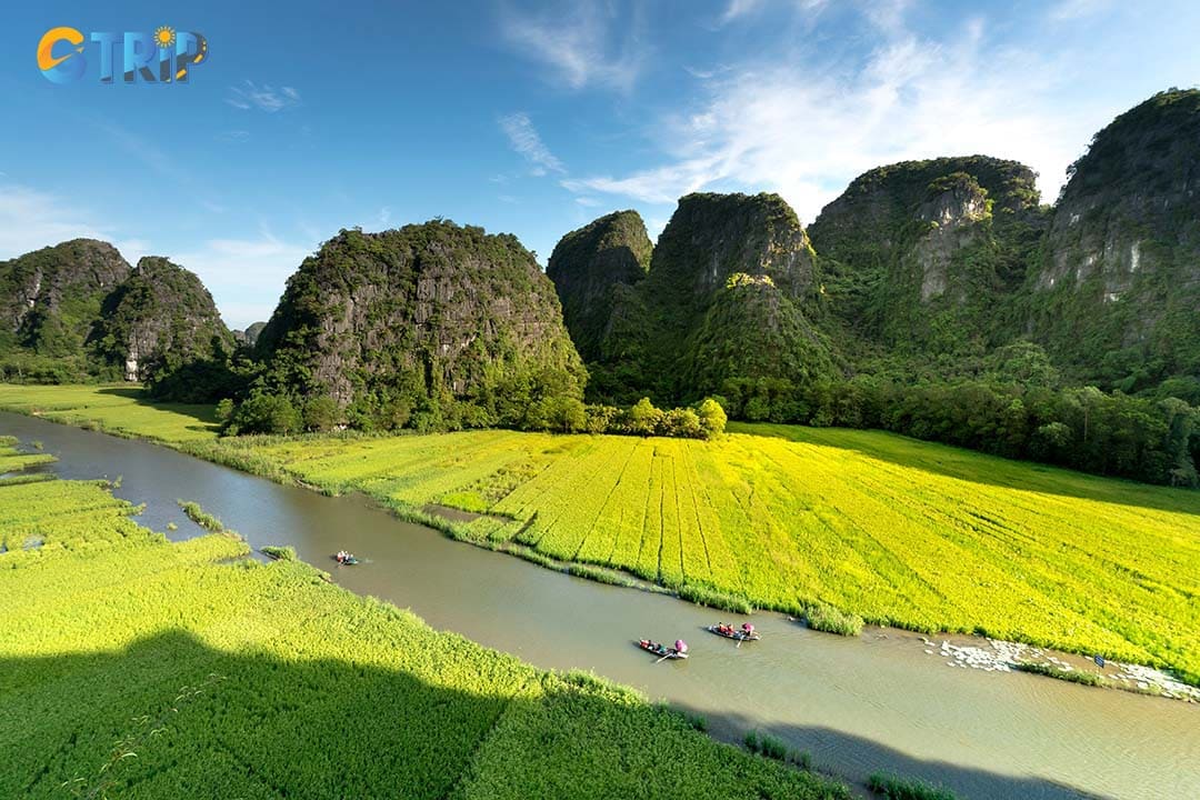 Ninh Binh’s rice fields are a visual marvel, supporting families and spiritual traditions through planting and harvest seasons