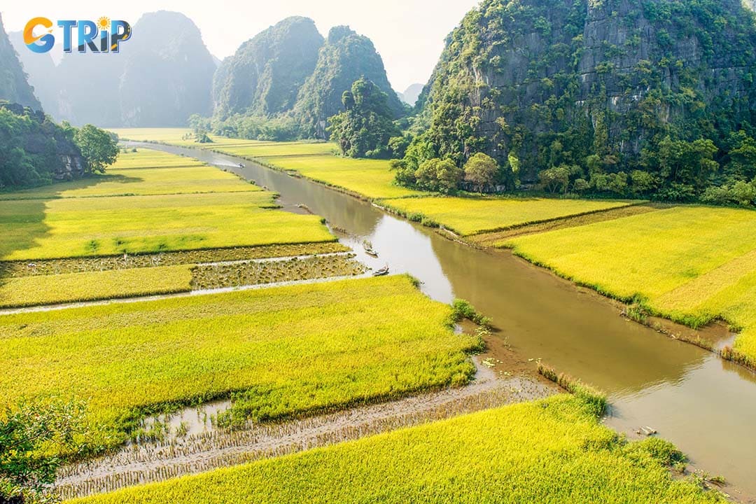 Ninh Binh's rice fields offer stunning landscapes and cultural charm, making them a must-visit destination