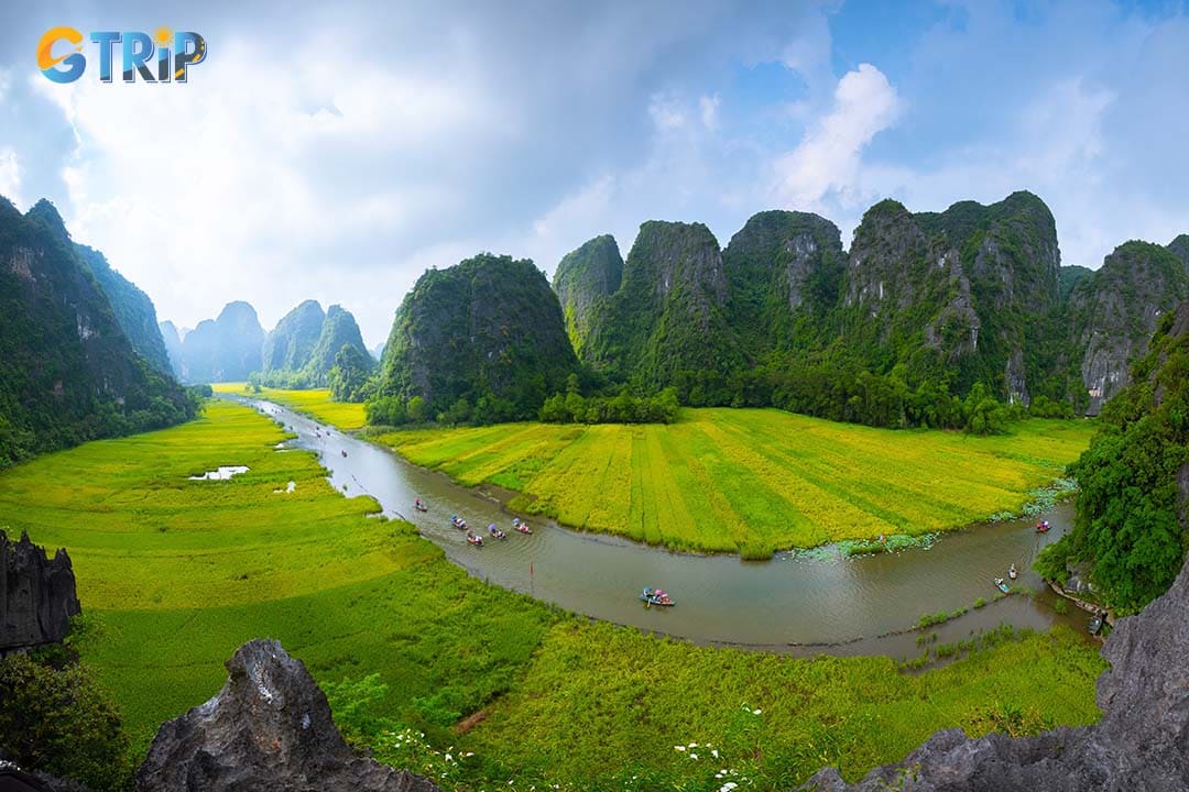 Combine a visit to Ninh Binh's rice fields with nearby attractions like Mua Cave, Trang An, and Hoa Lu for a perfect blend of scenic views, boat rides, and cultural sites