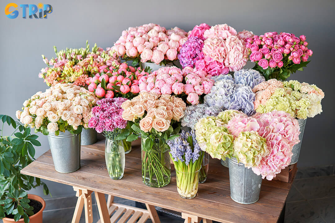 October isn’t just about the weather, it's a lively month filled with celebrations that reflect both Vietnamese tradition and global culture