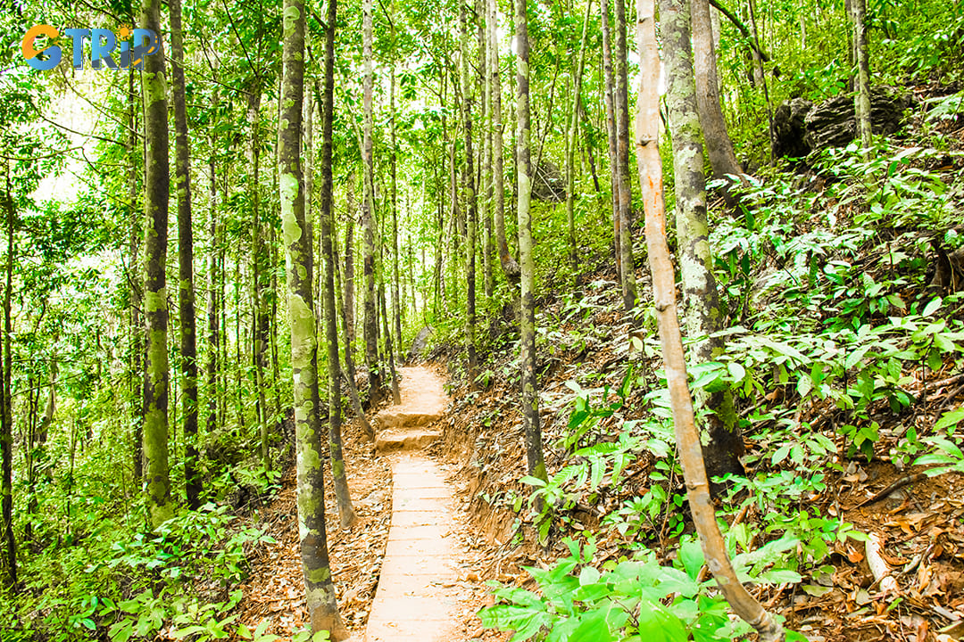 One of the most popular and scenic hikes is the Cat Ba trekking trail leading up to Ngu Lam Peak