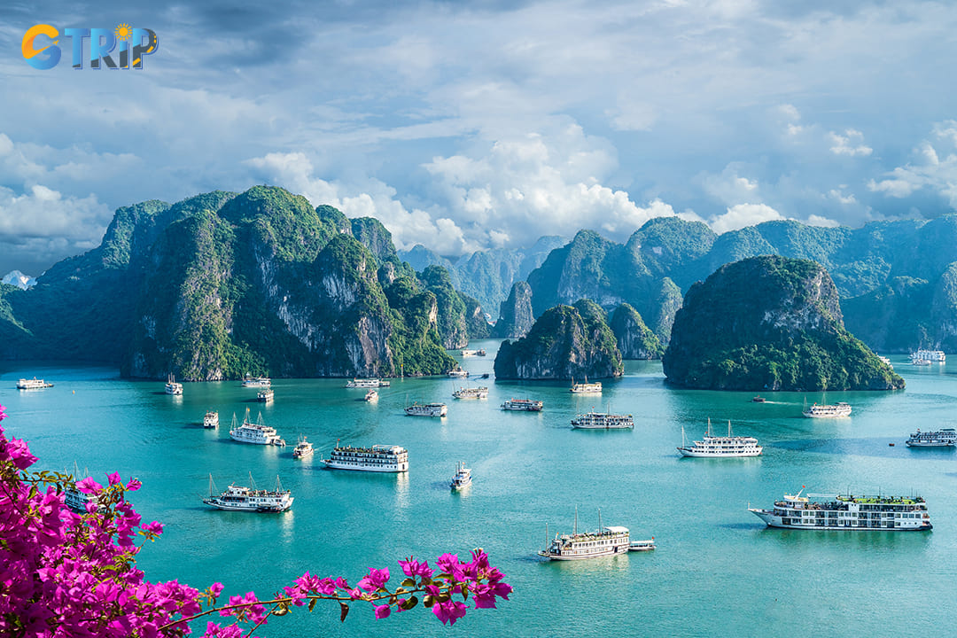 One of the must-do activities in Ha Long Bay in December is taking a boat cruise