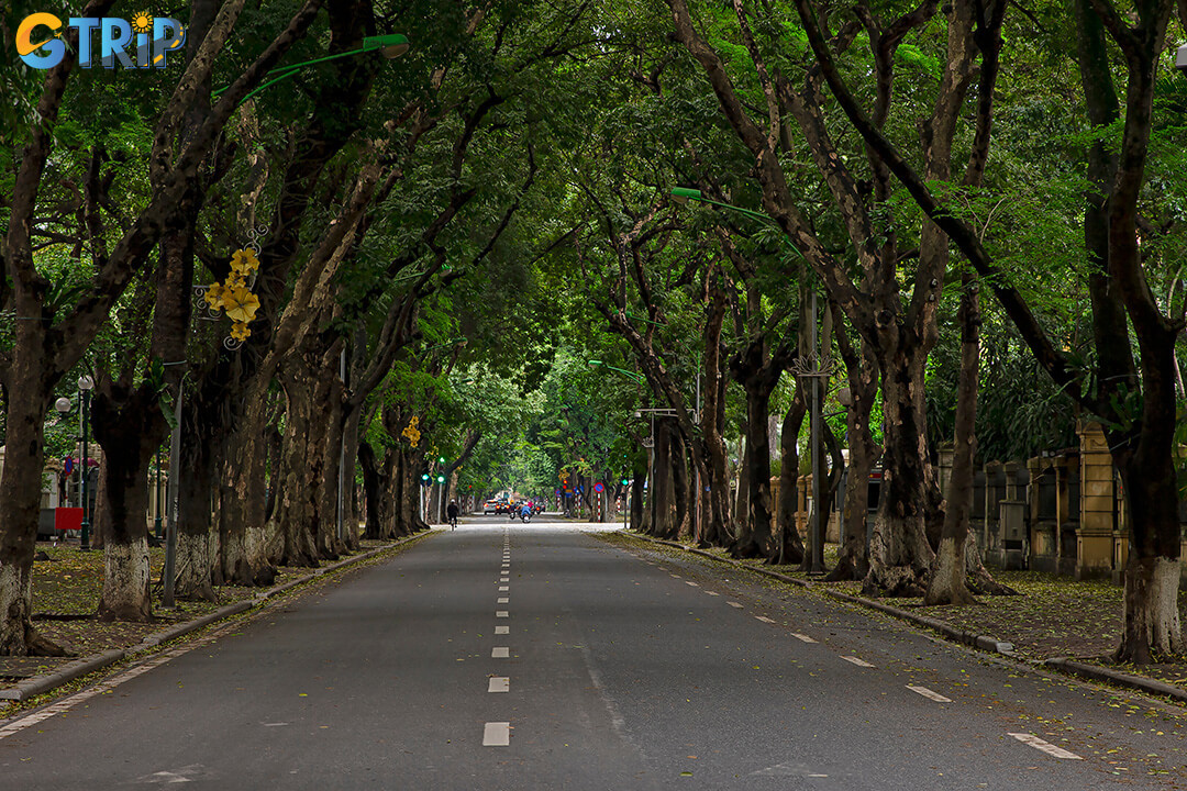 Phan Dinh Phung Street stretches through Hanoi’s central districts, offering easy access to both the Old Quarter and Thang Long Imperial Citadel