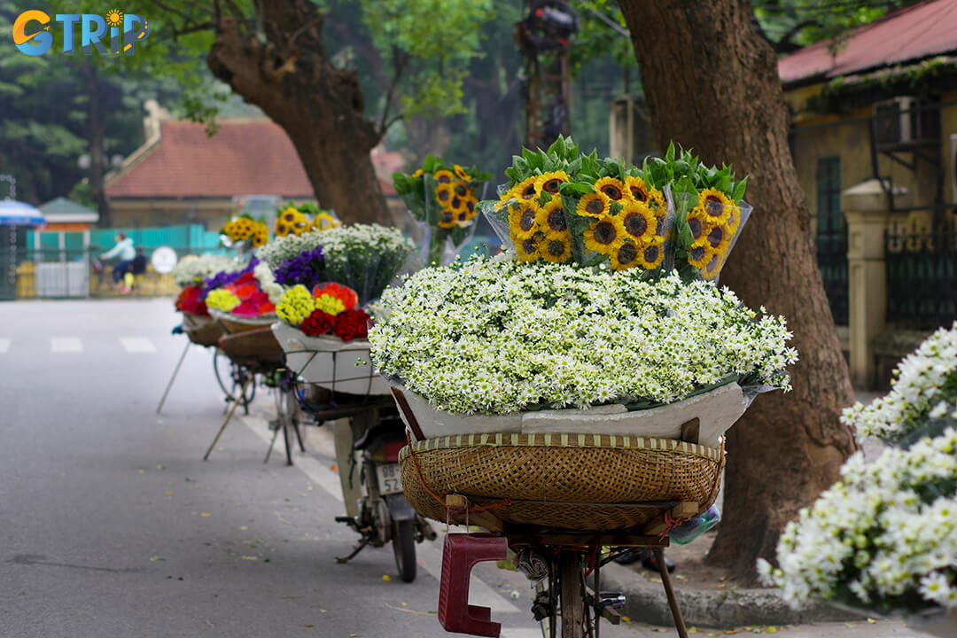Phan Dinh Phung Street, where leafy canopies, seasonal colors, and colonial facades create a romantic backdrop for portraits, strolls, and spontaneous snapshots