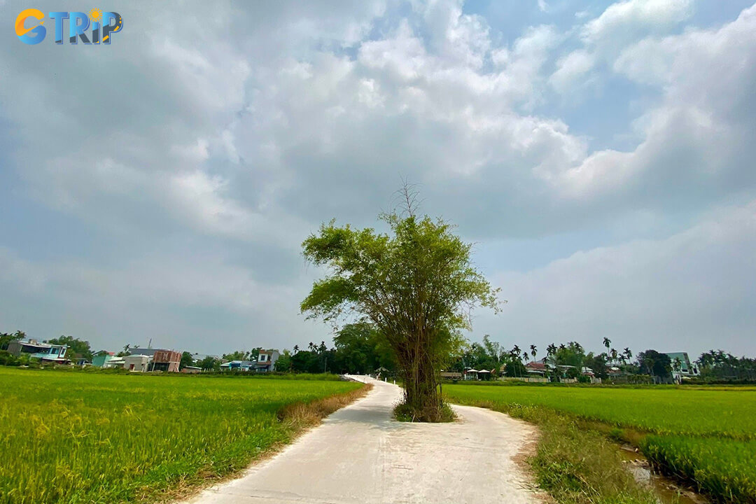 Phong Nam Ancient Village boasts over 500 years of history, and enduring cultural traditions reflected in its communal heritage and historic figures
