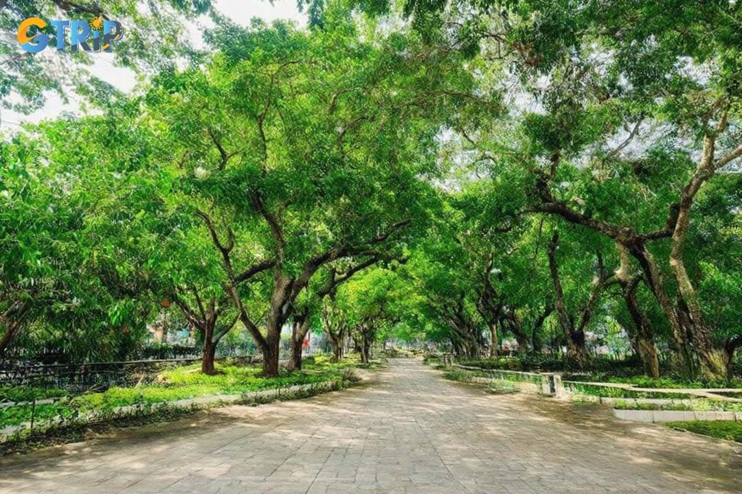 Picnicking at Go Vap Cultural Park is a simple pleasure, with wide green lawns, shady trees, and lake views creating a peaceful setting to enjoy local snacks