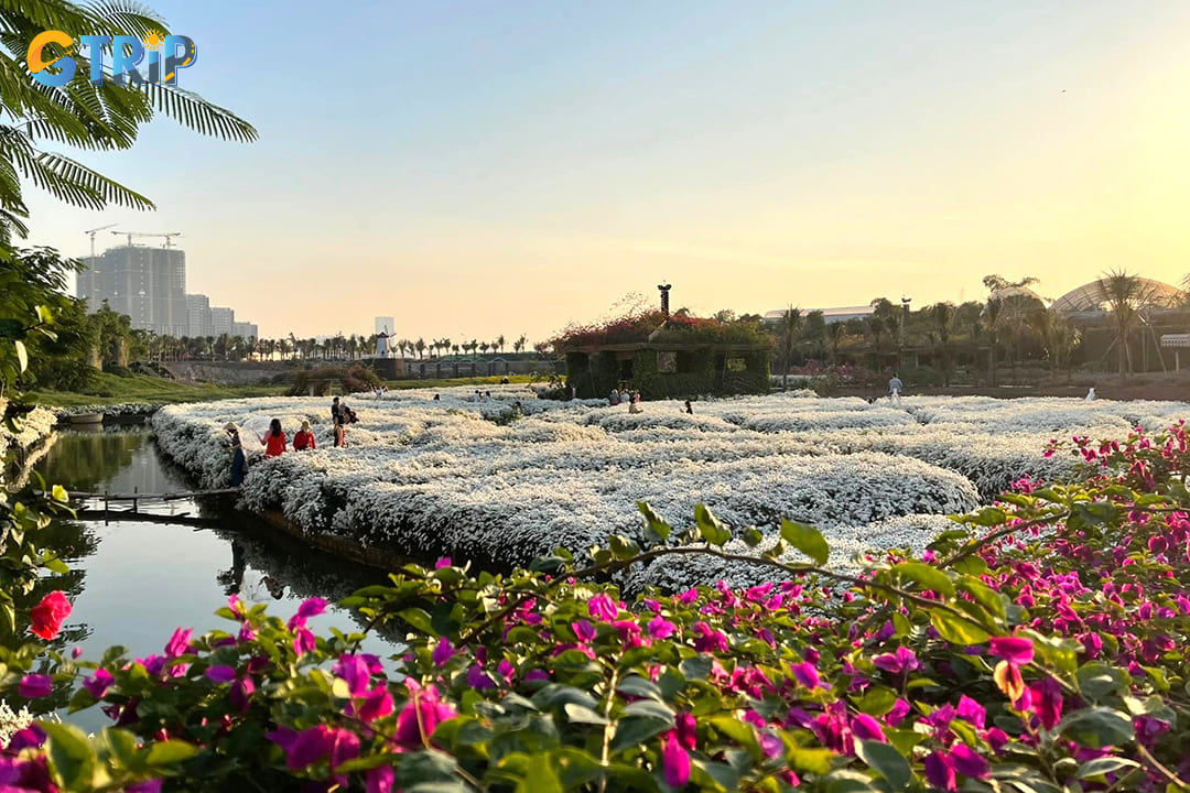 Preparing properly for your visit to West Lake Flower Valley ensures a smooth and enjoyable experience in this beautiful natural setting