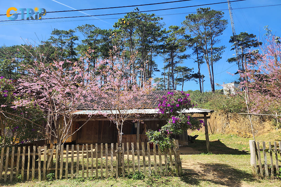 Preservation of traditional building techniques in Kon Pring is imperative in maintaining its cultural heritage