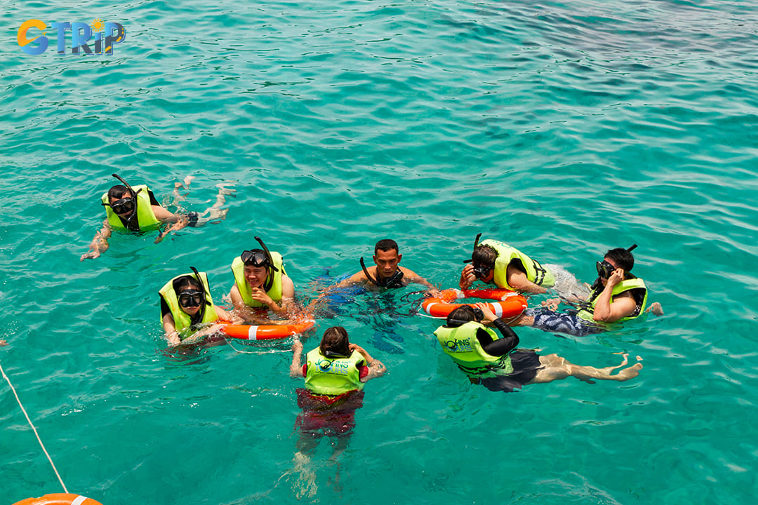 Professional tour guides play a vital role in ensuring a safe snorkeling experience