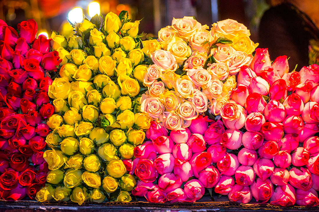 Quang Ba Flower Market: Overview, Opening Hours, Things To Do & Travel Guide